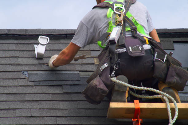 Best Roof Restoration Services  in Forestville, OH