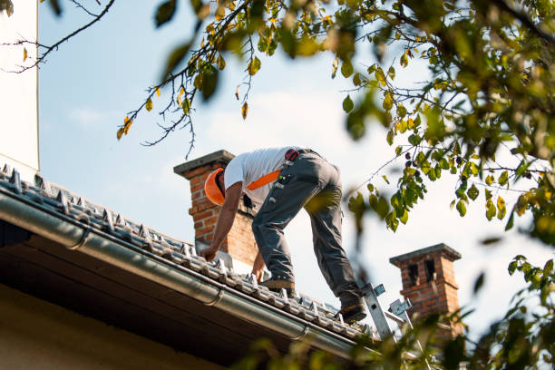 Best Affordable Roofing Company  in Forestville, OH