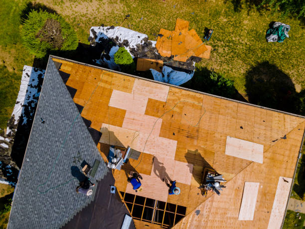 Best Roof Inspection Near Me  in Forestville, OH