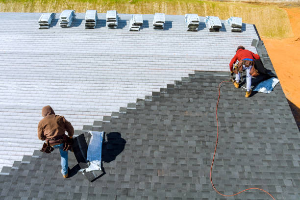 Best Roof Repair Services  in Forestville, OH