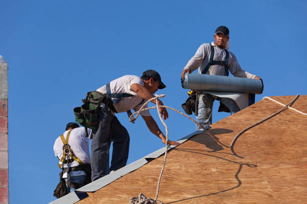 Best Roof Maintenance Services  in Forestville, OH