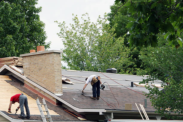 Best Affordable Roofing Company  in Forestville, OH