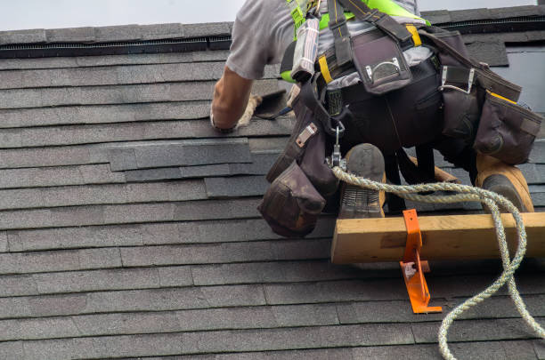 Best Flat Roof Repair Services  in Forestville, OH