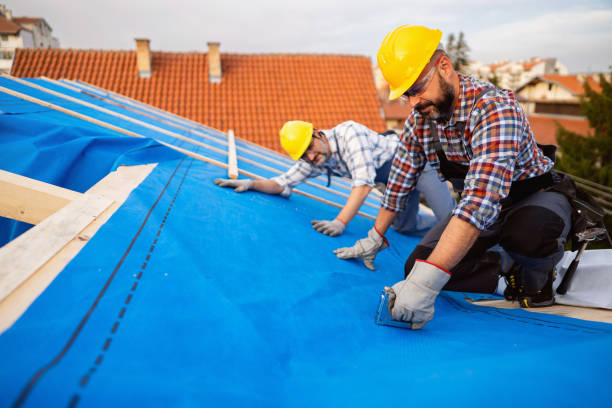 Best Commercial Roofing Services  in Forestville, OH