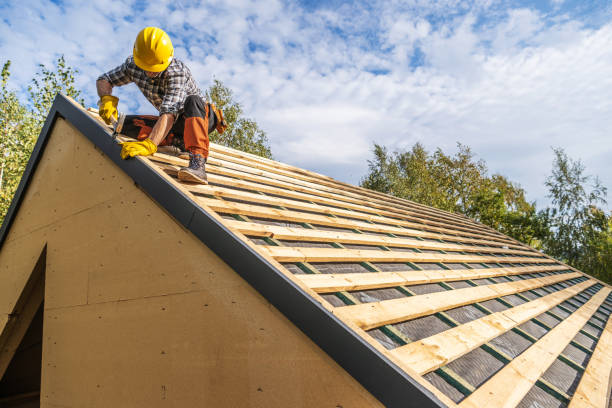 Best Roof Replacement Cost  in Forestville, OH