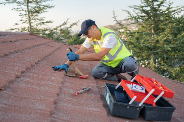Best Shingle Roofing Installation  in Forestville, OH