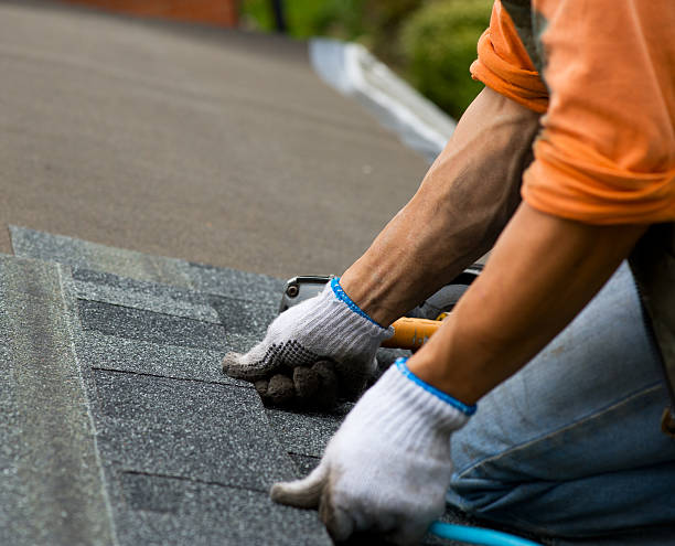 Best Roof Gutter Cleaning  in Forestville, OH