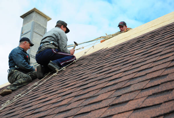 Best Best Roofing Contractors  in Forestville, OH