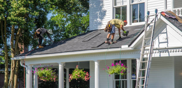 Best Metal Roofing Contractor  in Forestville, OH